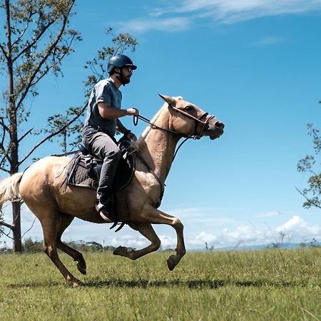 ホテル Kinkara Luxury Retreat San Isidro De El General エクステリア 写真