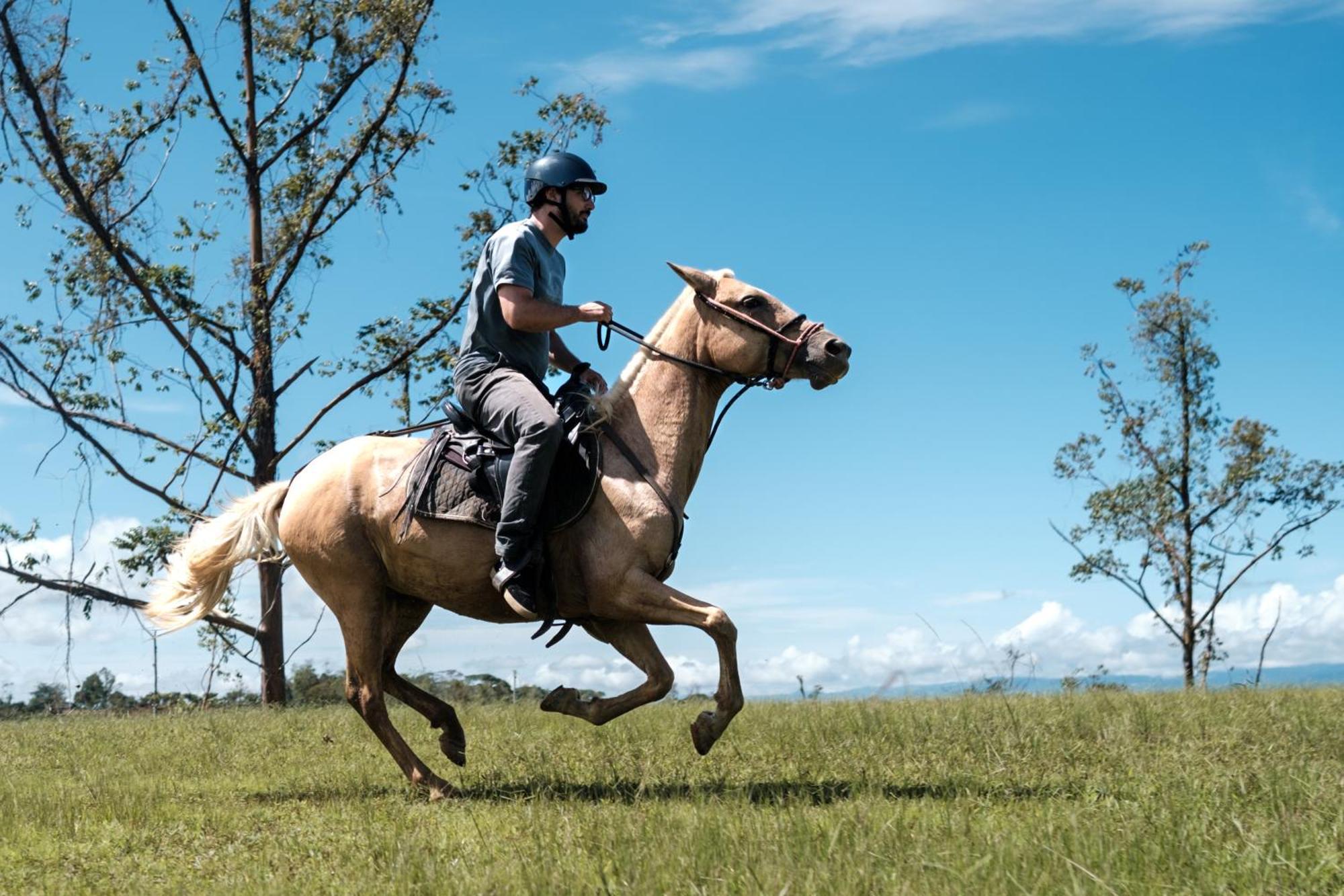 ホテル Kinkara Luxury Retreat San Isidro De El General エクステリア 写真
